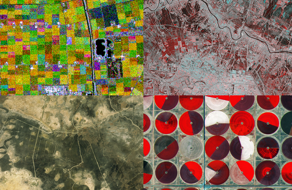 01 crop parcel identification