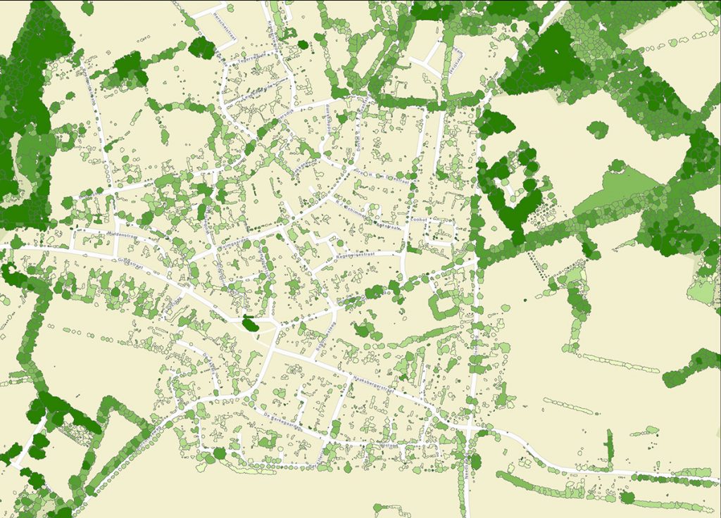 boombasis-actuele-boominformatie