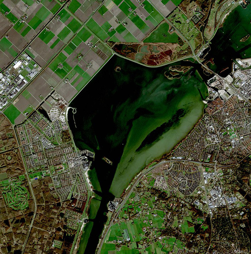 NEO riparian vegetation monitoring- S2190215