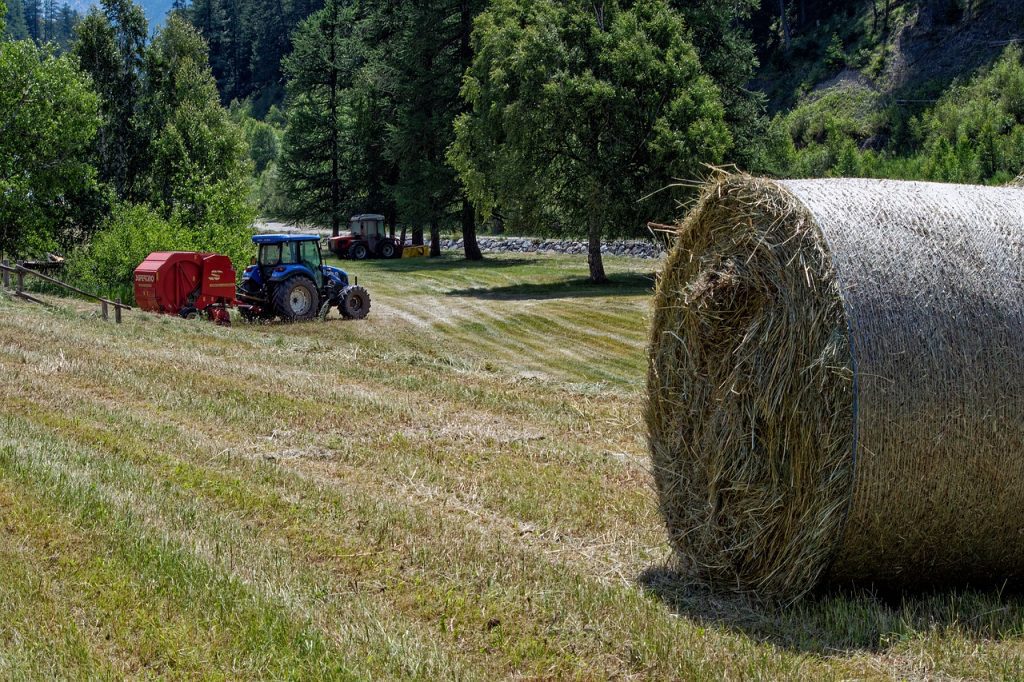tractor, haymaking, hay bale-7342425.jpg